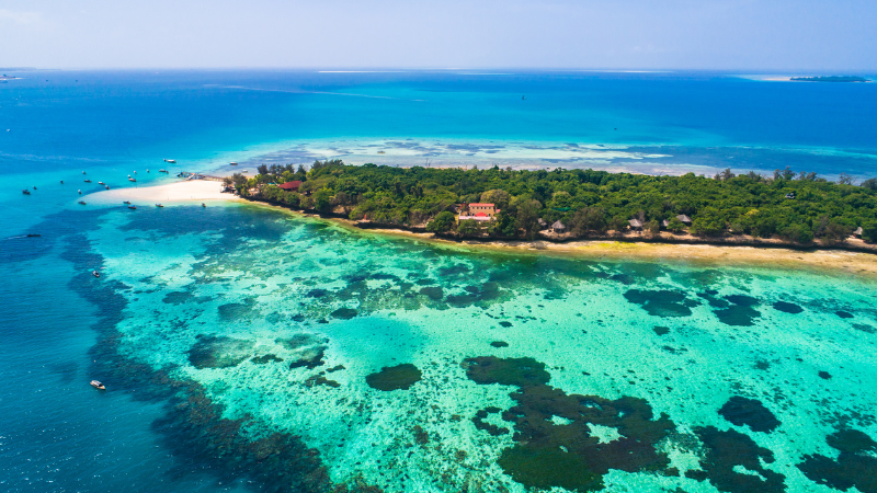 Zanzibar Adelante